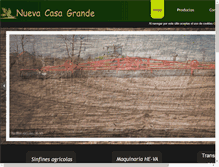 Tablet Screenshot of nuevacasagrande.com